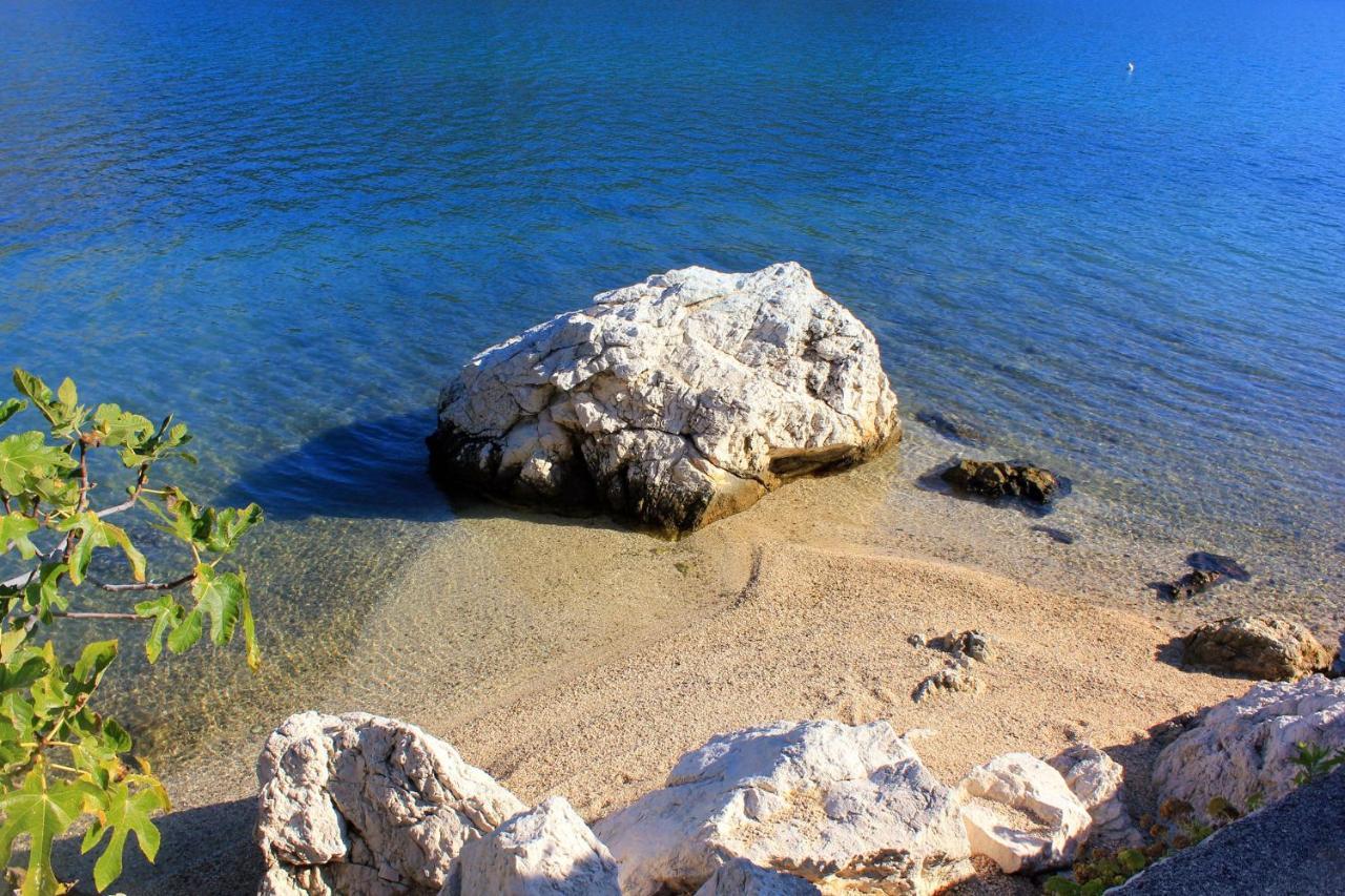 Apartments And Rooms By The Sea Slano, Dubrovnik - 8737 エクステリア 写真